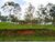 Terreno, 3 hectares - Foto 1