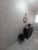 Casa, 3 quartos, 125 m² - Foto 5