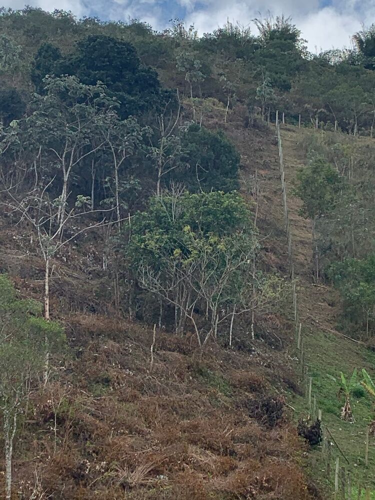 Terreno à venda, 30000m² - Foto 2