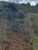 Terreno, 3 hectares - Foto 2