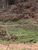 Terreno, 3 hectares - Foto 1