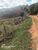 Terreno, 3 hectares - Foto 4