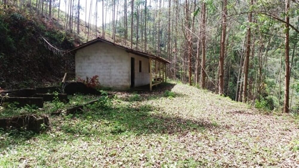 Terreno à venda - Foto 1