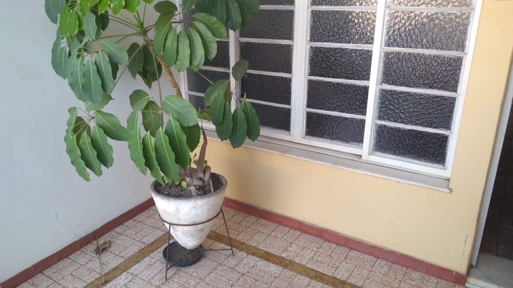 Casa, 4 quartos - Foto 6