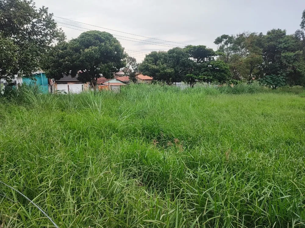 Terreno, 300 m² - Foto 3