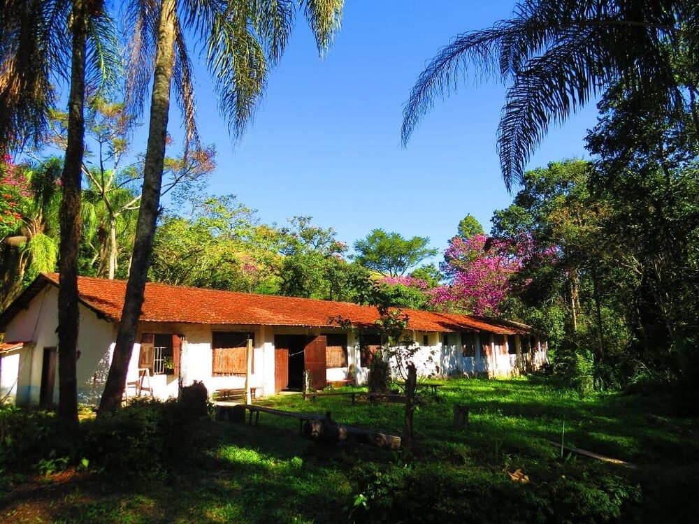 Terreno, 15 hectares - Foto 4