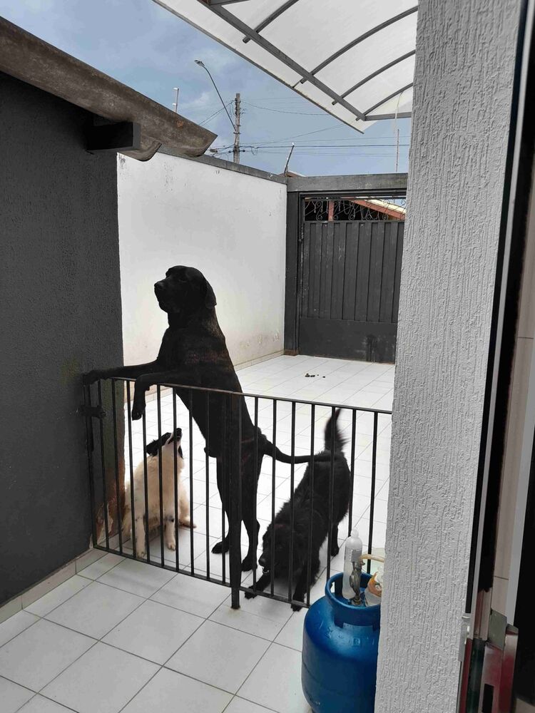 Casa, 4 quartos, 243 m² - Foto 16
