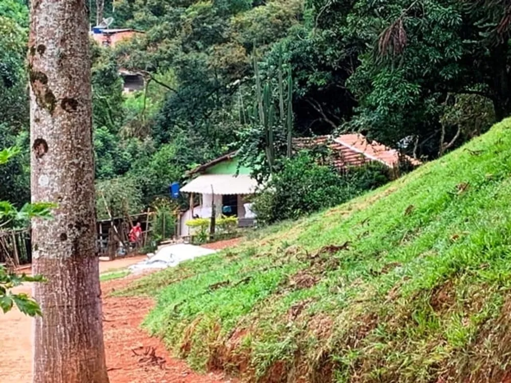 Terreno, 99 hectares - Foto 4
