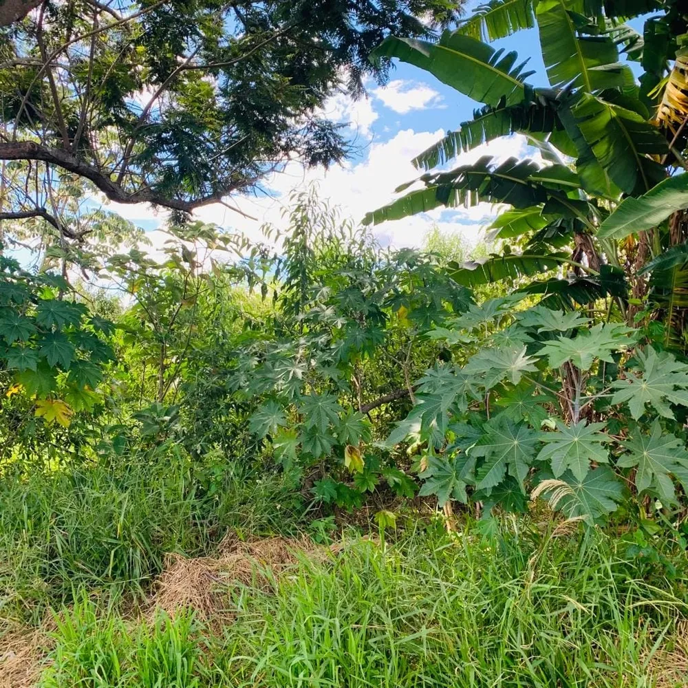 Terreno, 250 m² - Foto 1