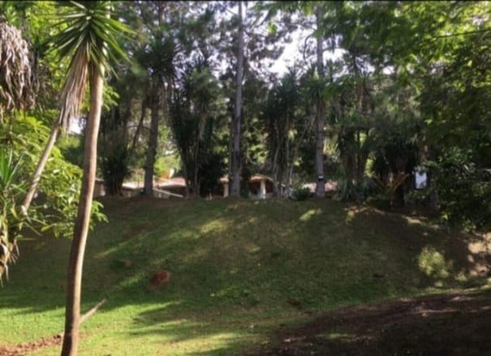 Sítio, 3 quartos, 3 hectares - Foto 2