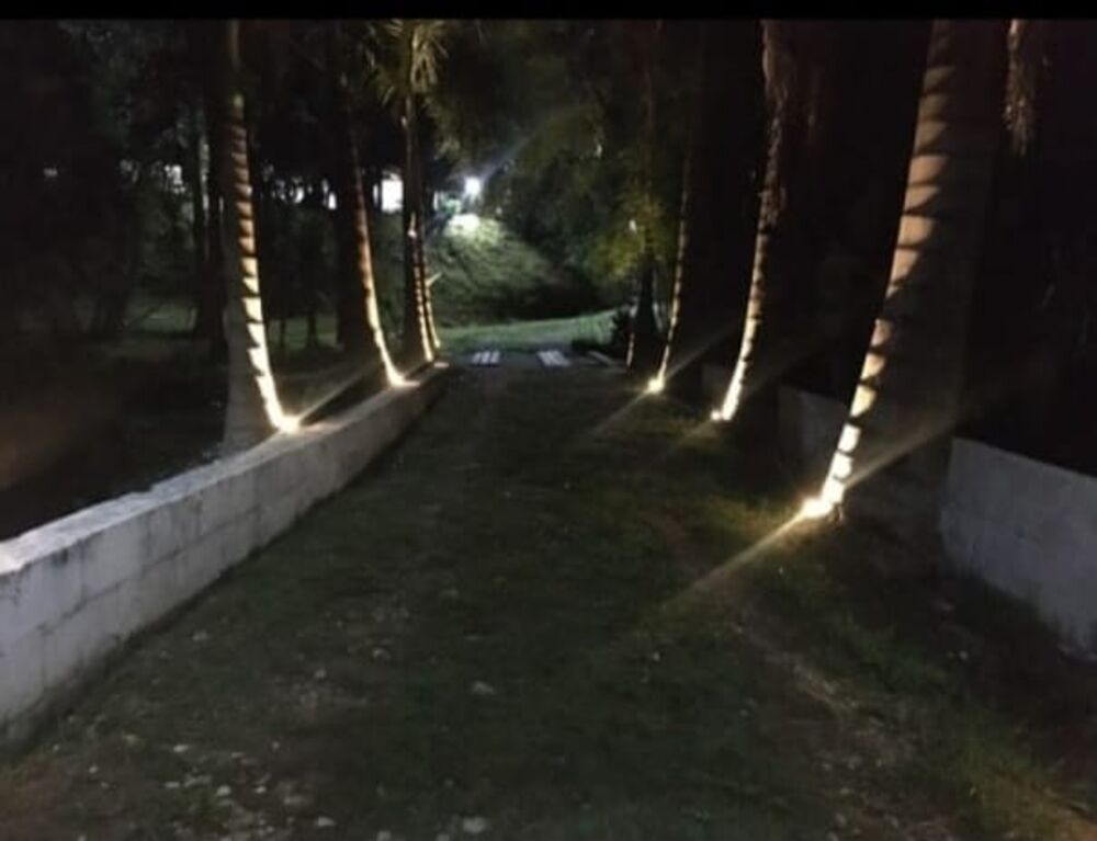 Sítio, 3 quartos, 3 hectares - Foto 7