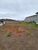 Terreno, 360 m² - Foto 2