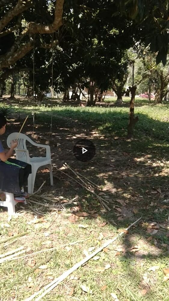 Chácara à venda com 2 quartos, 75m² - Foto 2