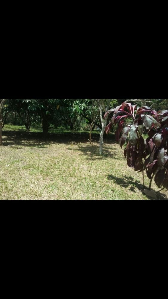 Chácara à venda com 2 quartos, 75m² - Foto 1