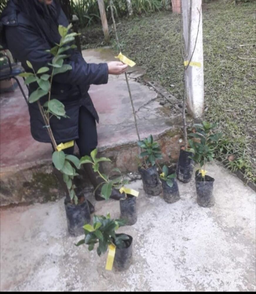 Chácara à venda com 2 quartos, 75m² - Foto 5