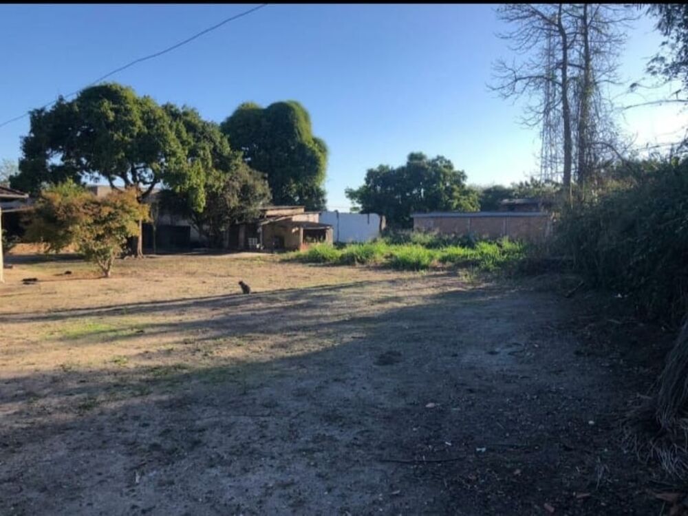 Sítio, 2 quartos, 2961 m² - Foto 5