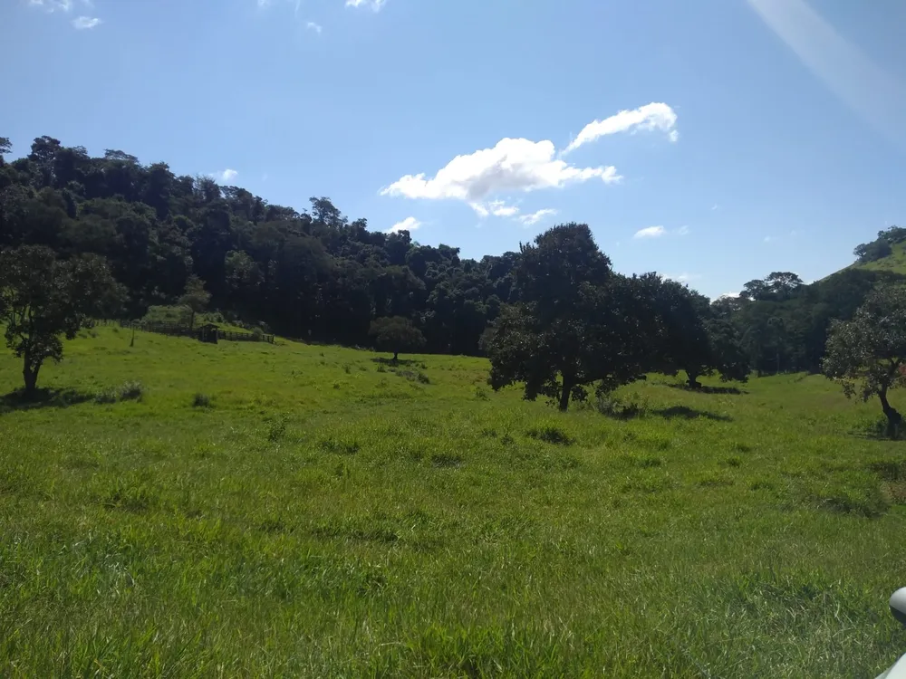 Sítio, 2 quartos, 77 hectares - Foto 3
