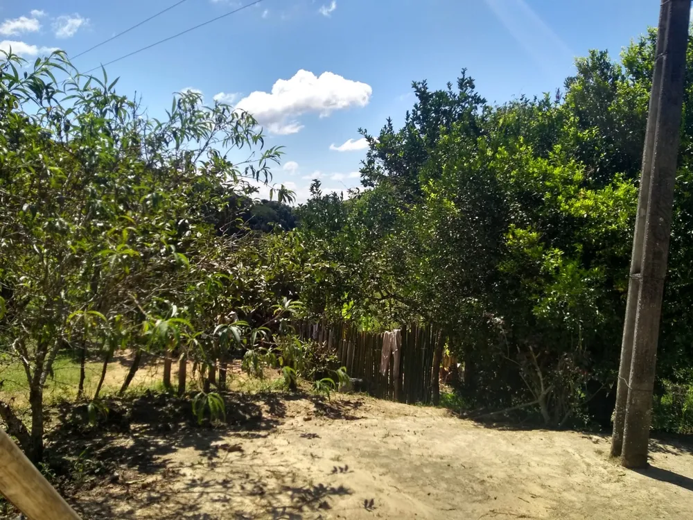 Sítio, 2 quartos, 77 hectares - Foto 4