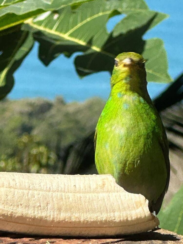 Sobrado, 4 quartos, 180 m² - Foto 16