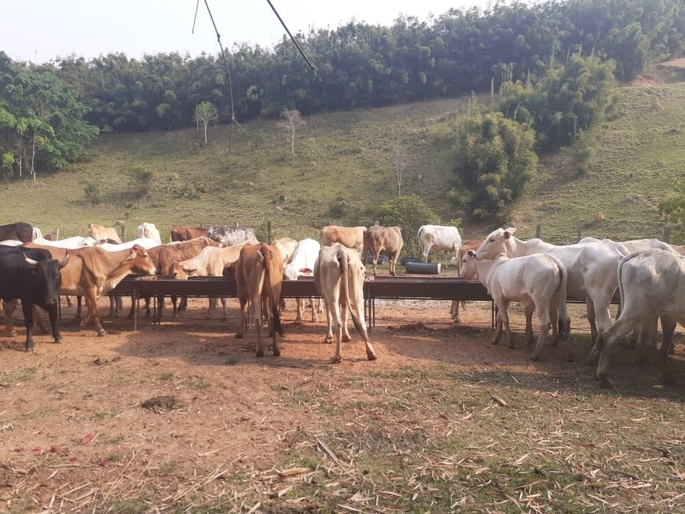 Terreno, 48 hectares - Foto 9