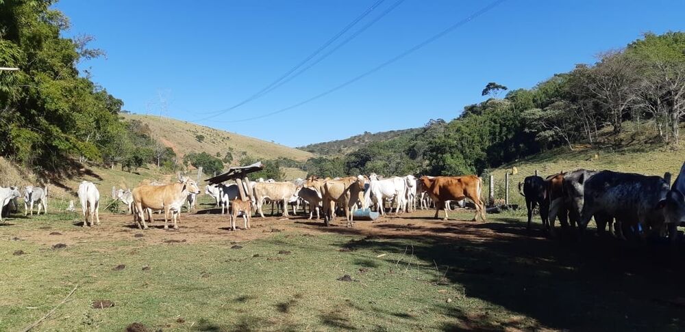 Terreno, 48 hectares - Foto 15