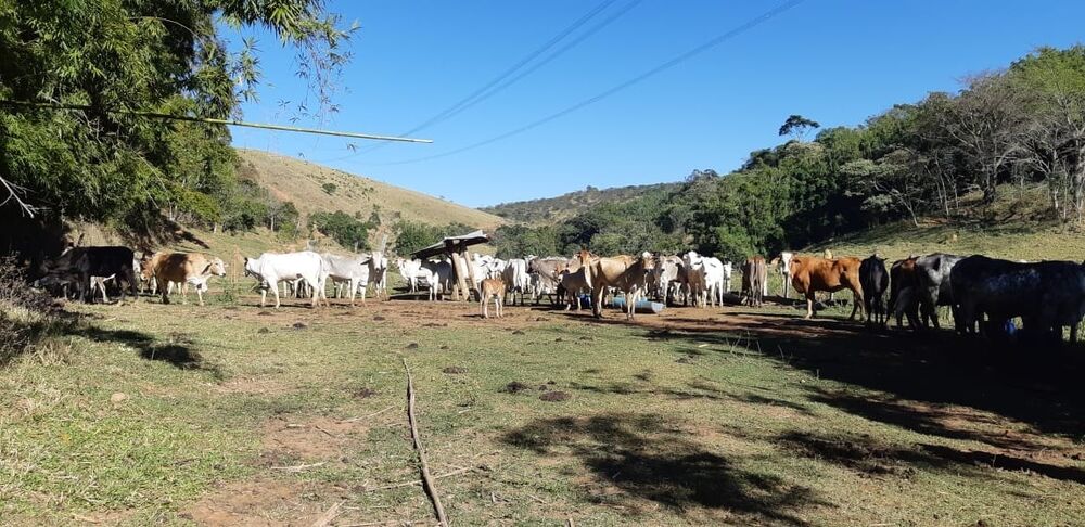 Terreno, 48 hectares - Foto 14