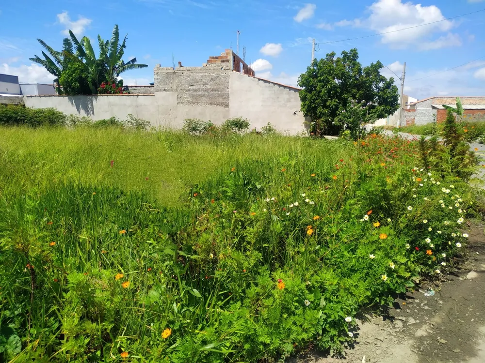 Terreno, 235 m² - Foto 1