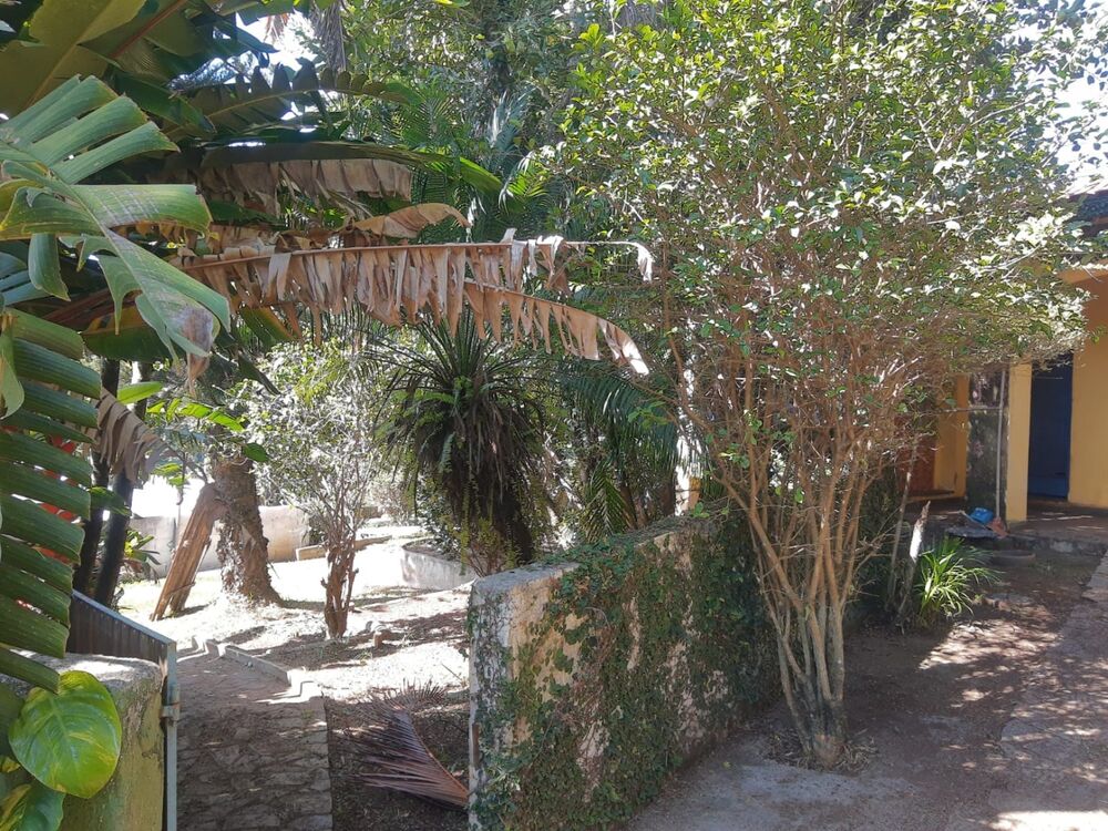 Sítio, 3 quartos, 2500 m² - Foto 13