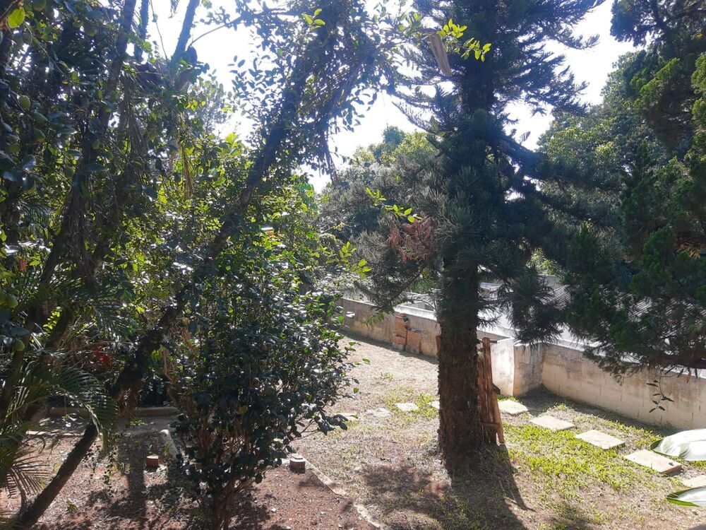 Sítio, 3 quartos, 2500 m² - Foto 14