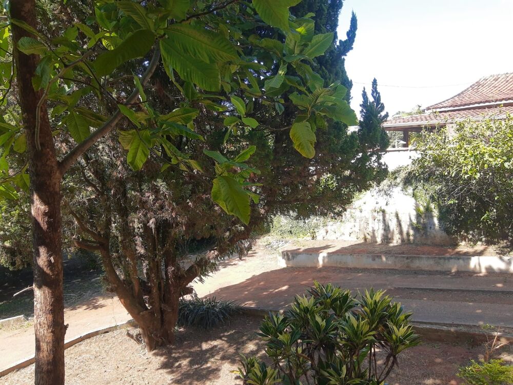 Sítio, 3 quartos, 2500 m² - Foto 6