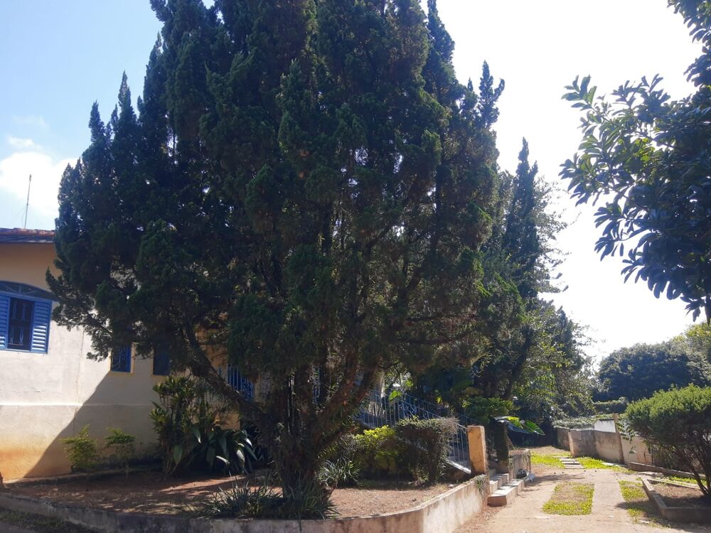 Sítio, 3 quartos, 2500 m² - Foto 5