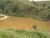 Terreno, 14 hectares - Foto 5