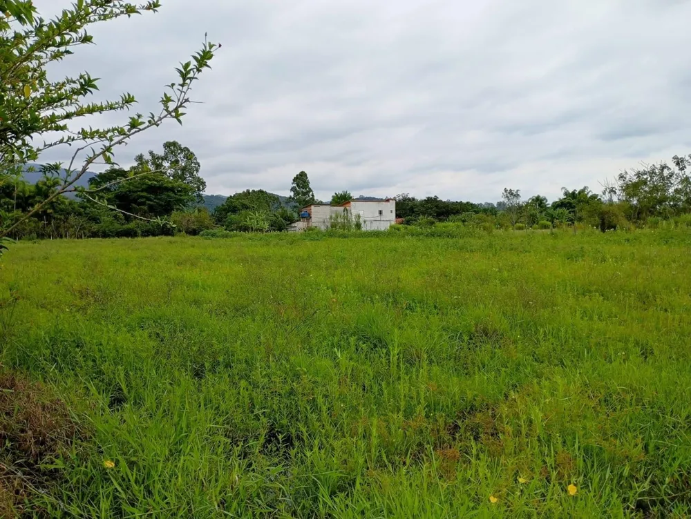 Terreno, 5000 m² - Foto 2