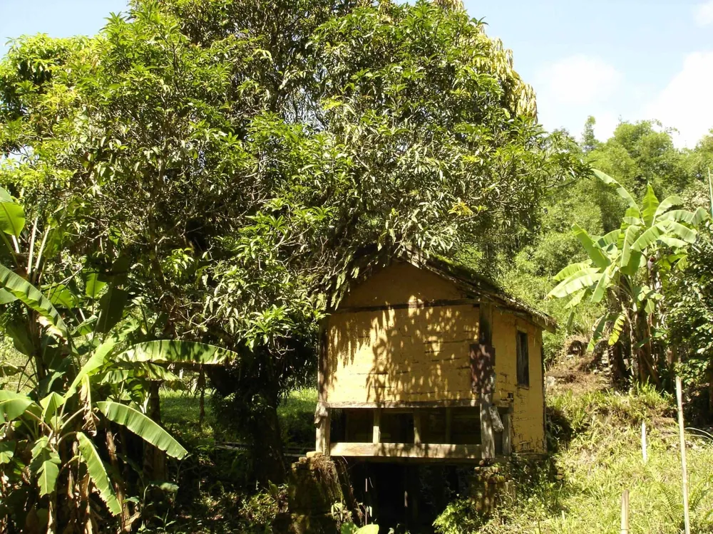 Sítio, 3 quartos, 5 hectares - Foto 2