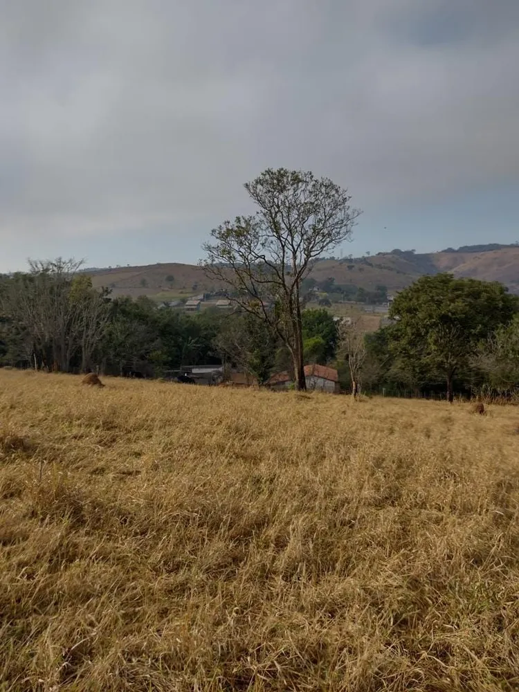Terreno, 2 hectares - Foto 1