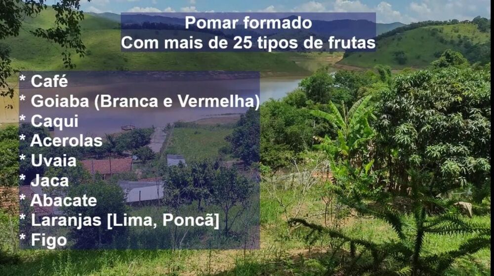 Sítio à venda com 3 quartos, 31000m² - Foto 6