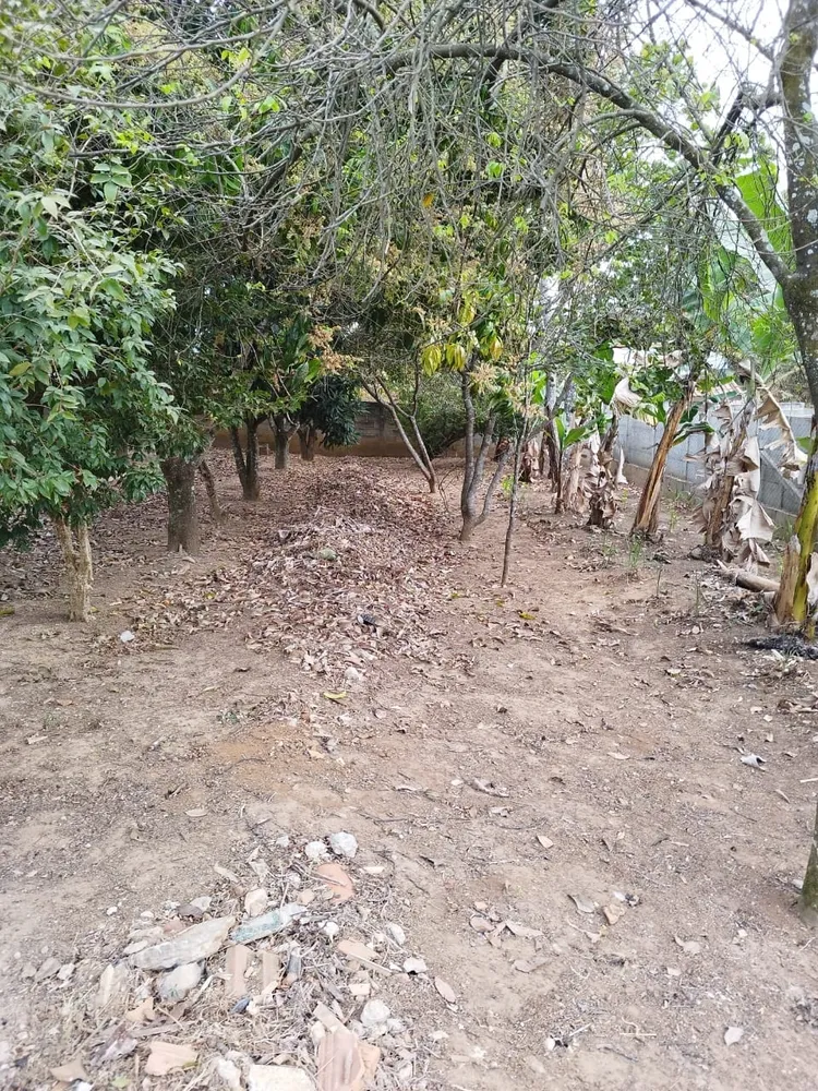 Chácara, 1 quarto - Foto 3