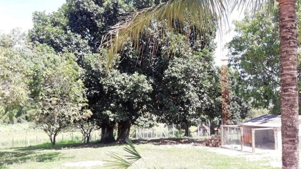 Chácara à venda com 3 quartos, 250m² - Foto 7