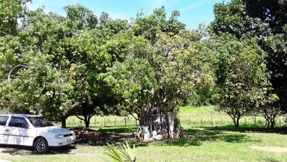 Chácara à venda com 3 quartos, 250m² - Foto 8