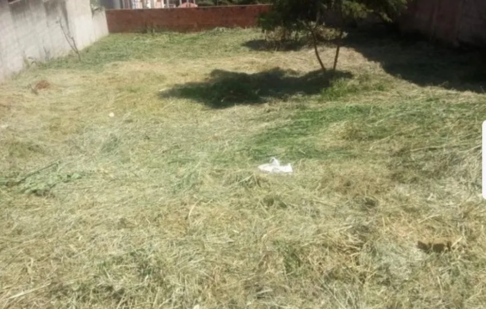 Terreno - Foto 1