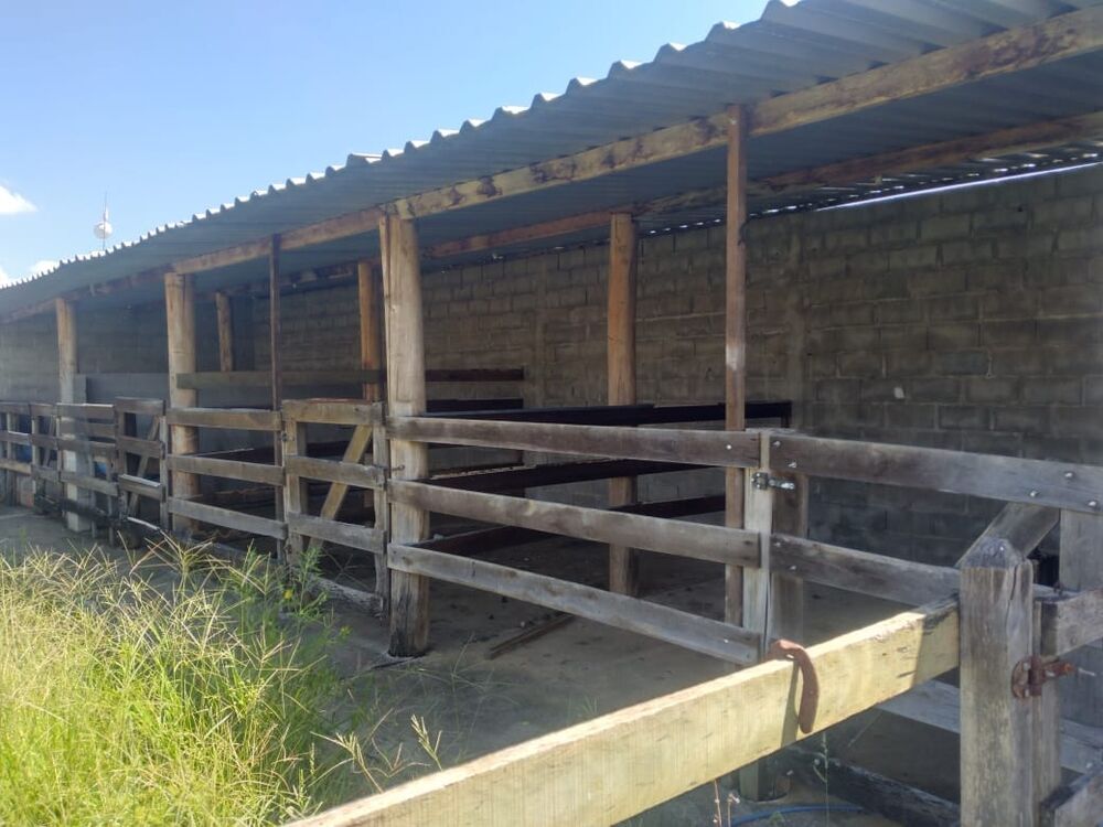 Chácara à venda com 1 quarto, 60m² - Foto 4
