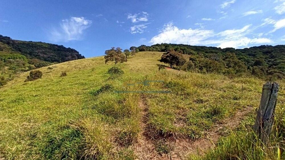 Sítio, 3 quartos, 29 hectares - Foto 3