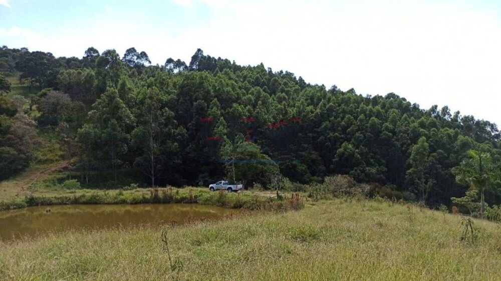 Sítio, 3 quartos, 29 hectares - Foto 2