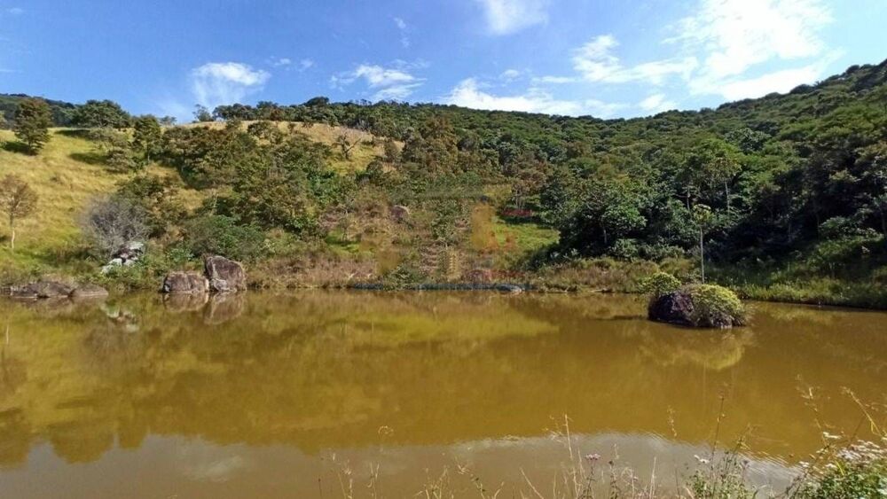 Sítio, 3 quartos, 29 hectares - Foto 13