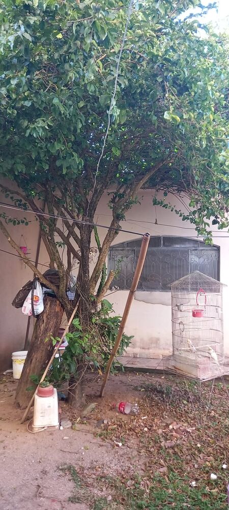 Sobrado, 7 quartos, 416 m² - Foto 5