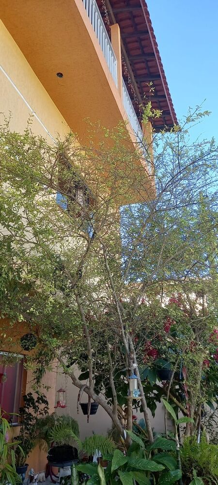 Sobrado, 7 quartos, 416 m² - Foto 7