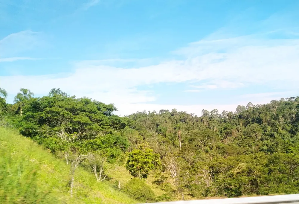 Terreno, 67 hectares - Foto 1