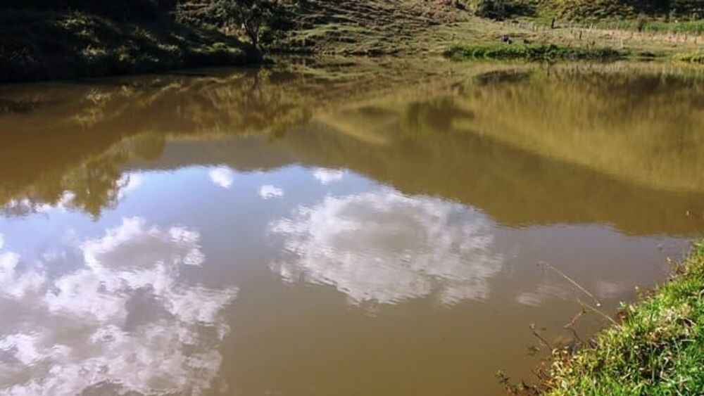 Terreno à venda - Foto 6