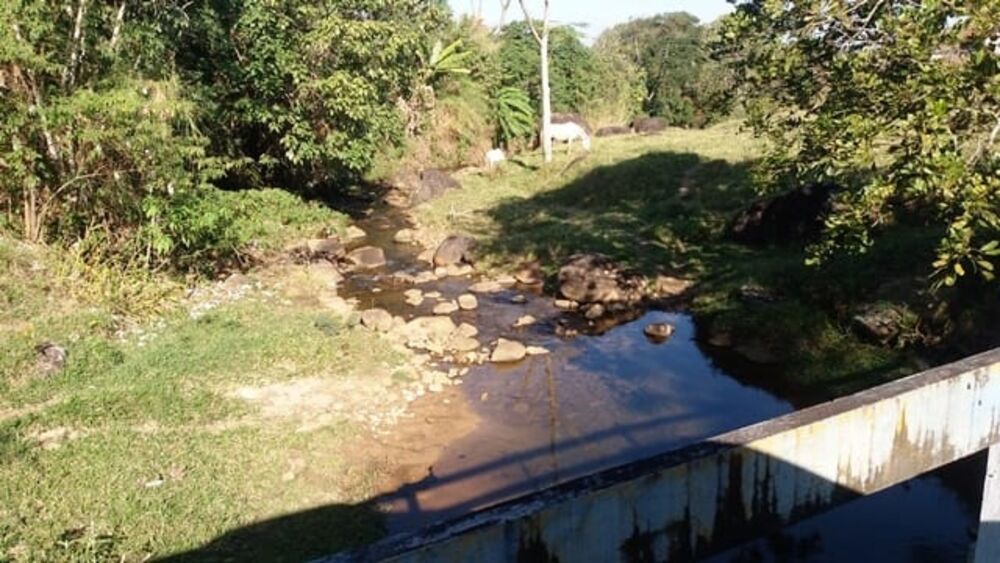 Terreno à venda - Foto 2