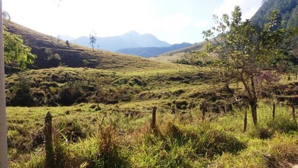 Terreno à venda - Foto 3